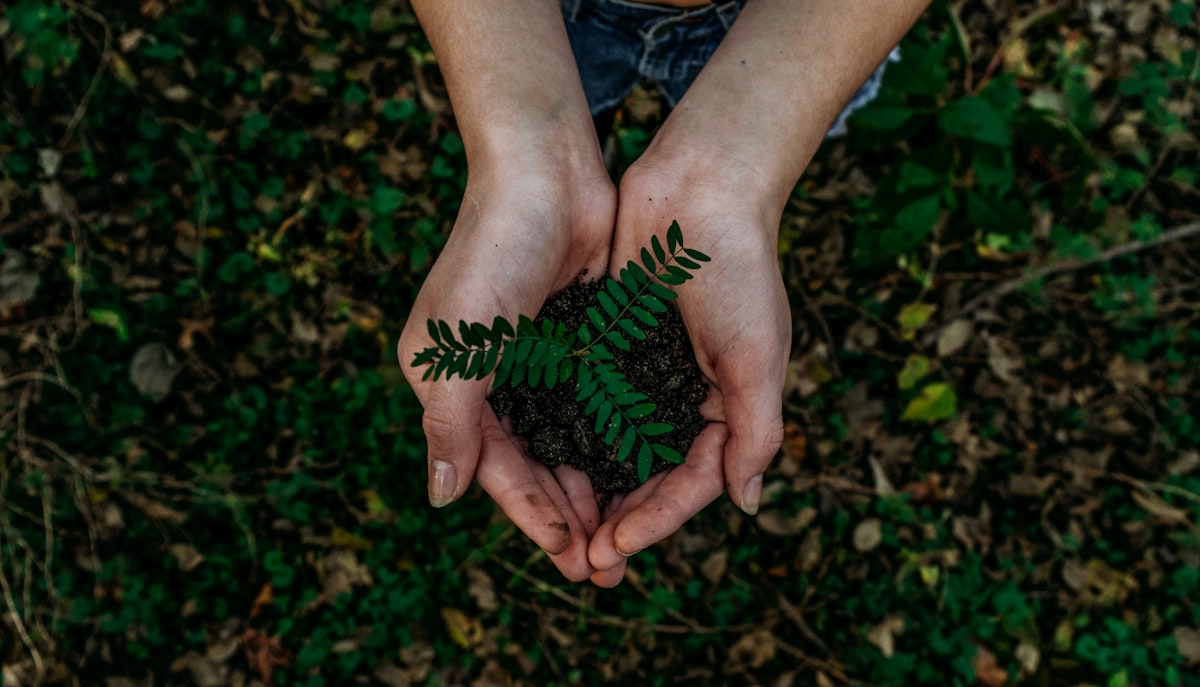 Substantiated Sustainability: Top Food Packaging Trend for 2026